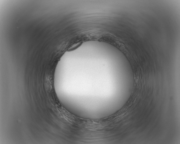 X0000062610772200512210936