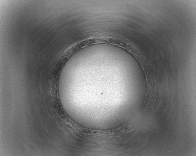 X0000062610773200512210936