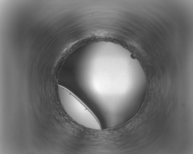 X0000062610776200512210936