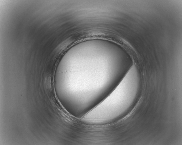 X0000062610777200512210936