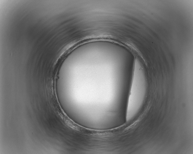 X0000062610781200512210936