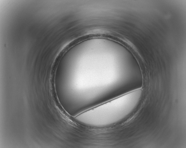 X0000062610783200512210936