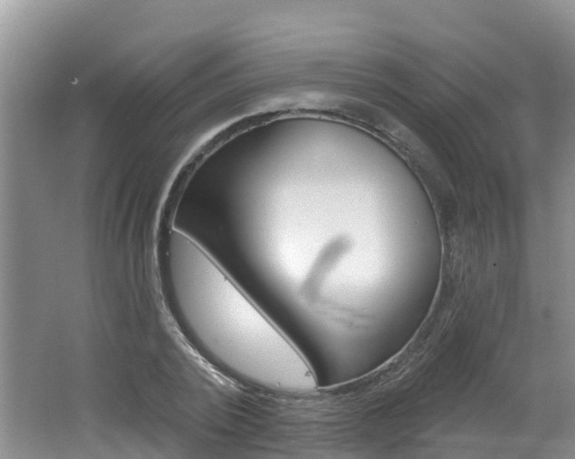 X0000062610784200512210936