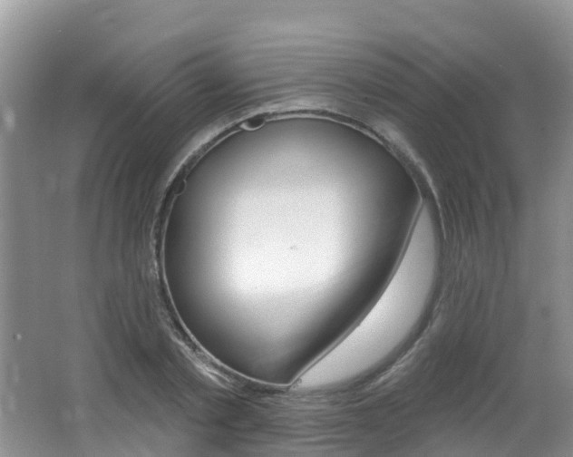 X0000062610789200512210936