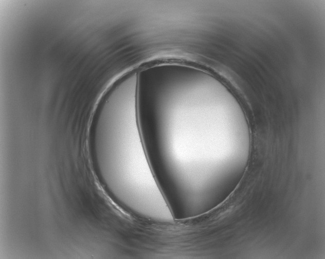 X0000062610791200512210936
