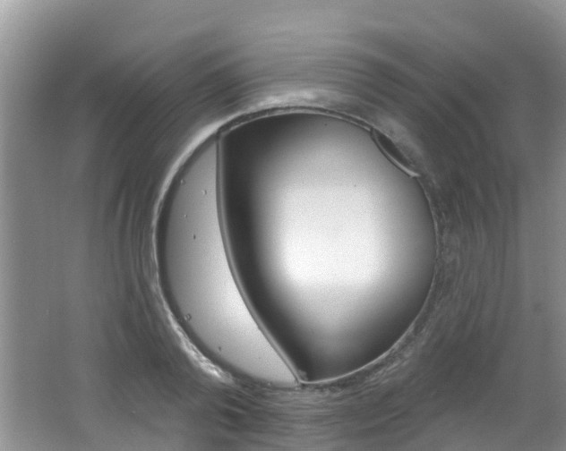 X0000062610792200512210936