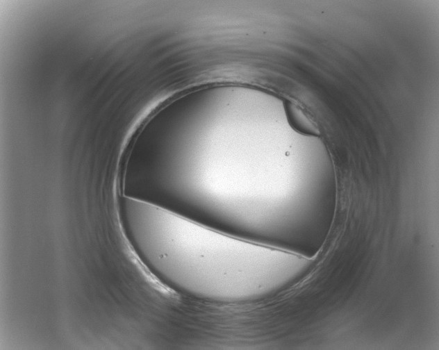 X0000062610796200512210936