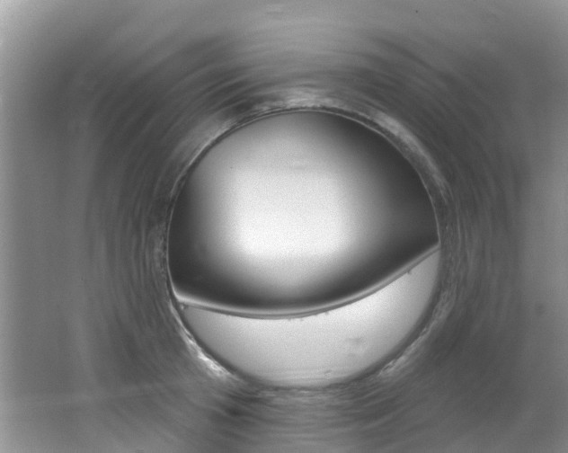 X0000062610801200512210936