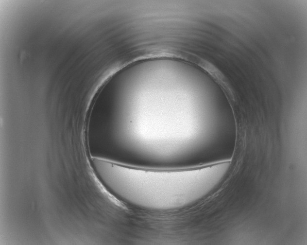 X0000062610805200512210936