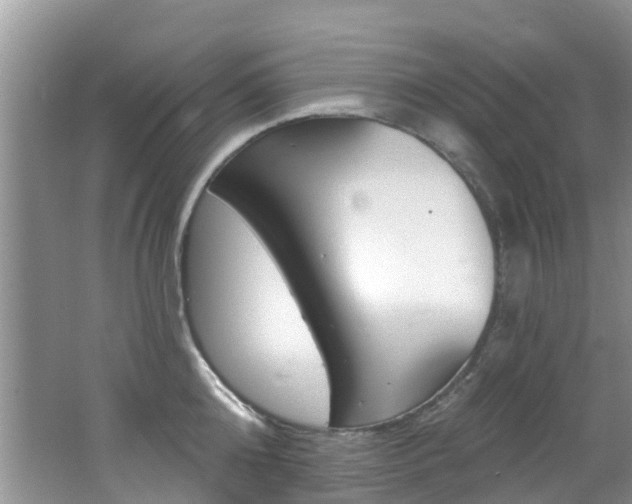 X0000062610808200512210936