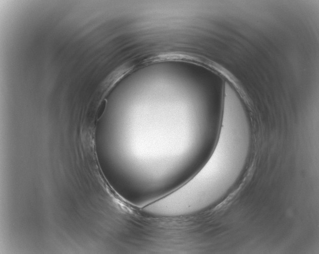 X0000062610809200512210936