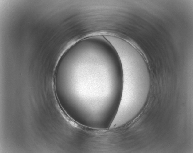 X0000062610813200512210935