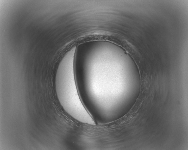 X0000062610821200512210935