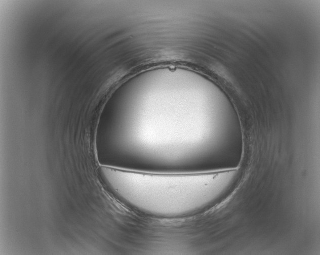 X0000062610825200512210935