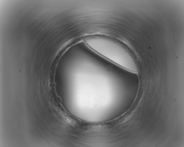 X0000062610826200512210935