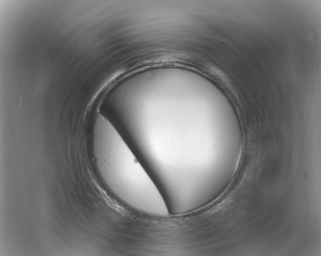X0000062610827200512210935
