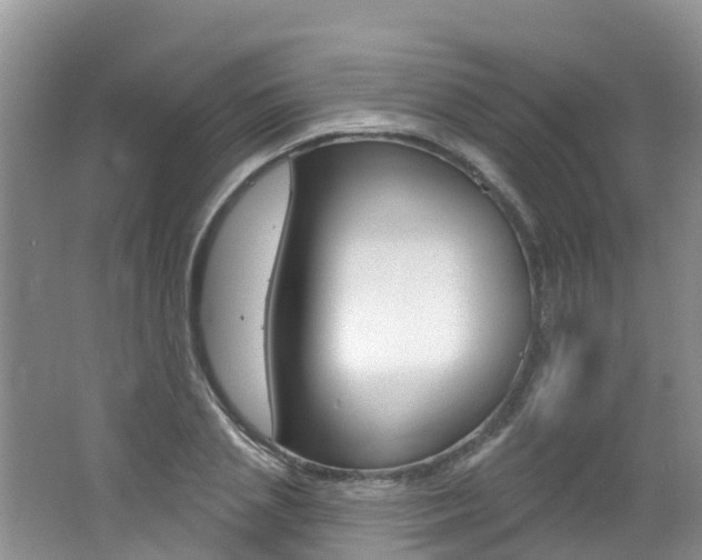 X0000062610837200512210935