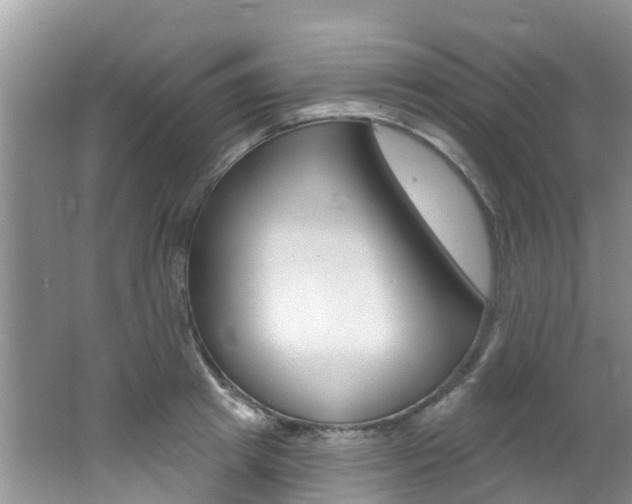 X0000062610849200512210935