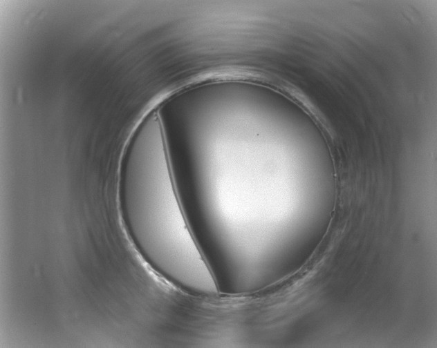 X0000062610853200512210935