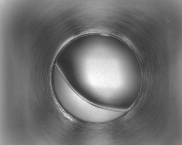 X0000062610854200512210935