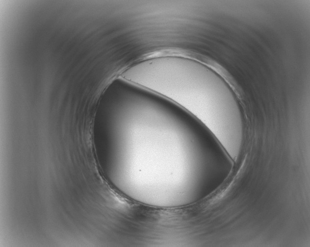 X0000062610857200512210935