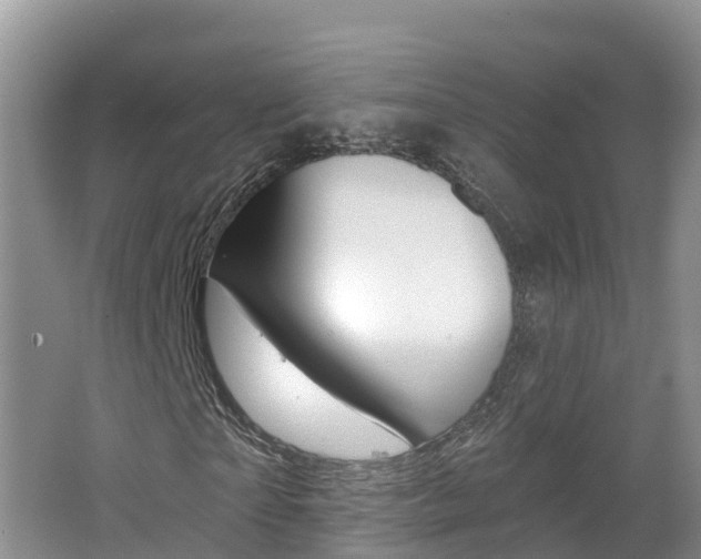 X0000062610865200512210935