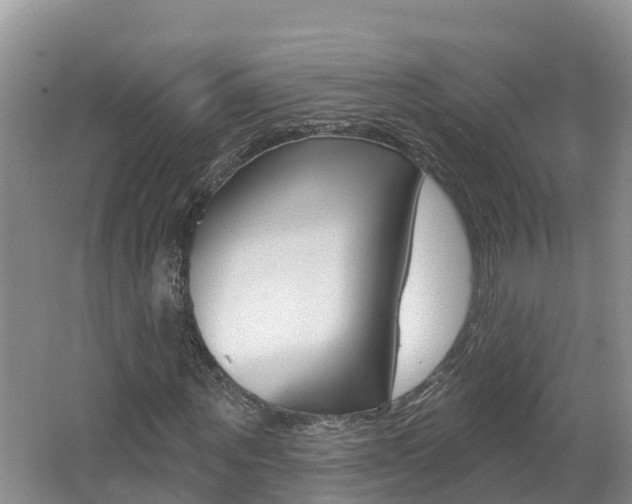 X0000062610867200512210935