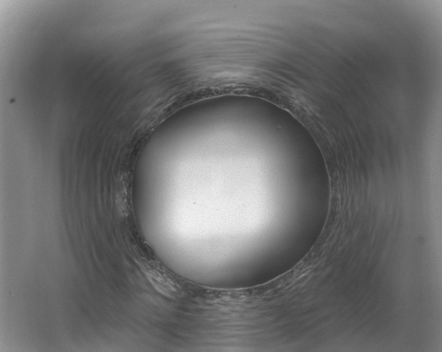 X0000062610868200512210934