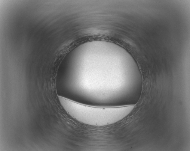X0000062610869200512210934
