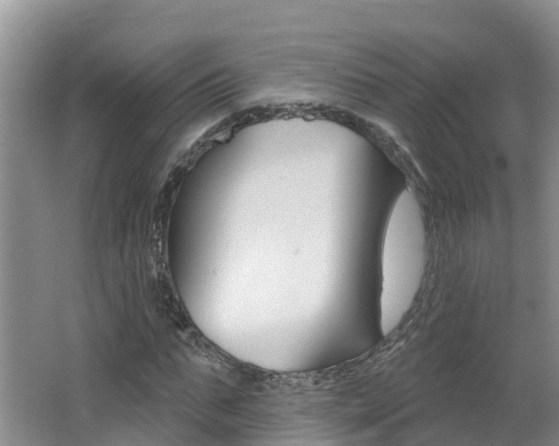 X0000062610871200512210934