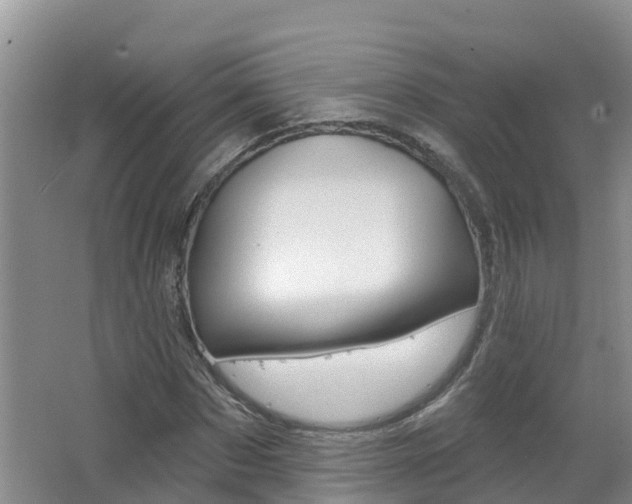 X0000062610873200512210934