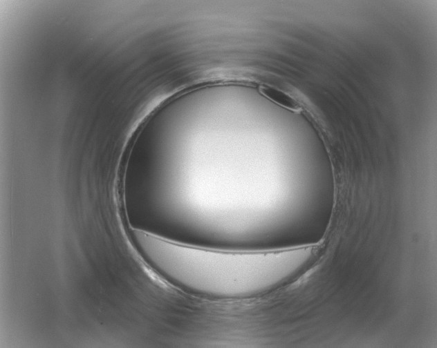 X0000062610893200512210934