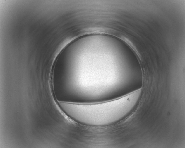 X0000062610901200512210934