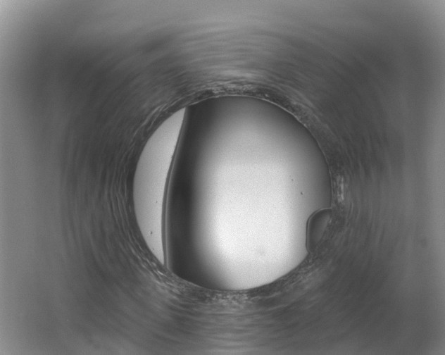 X0000062610915200512210933