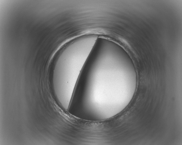 X0000062610923200512210933