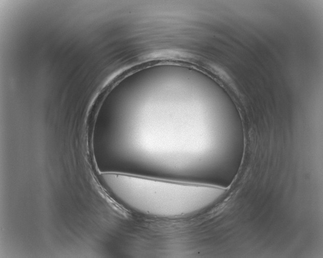 X0000062610931200512210933