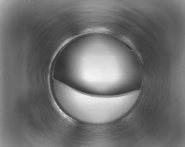 X0000062610947200512210933