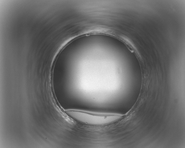 X0000062610948200512210933
