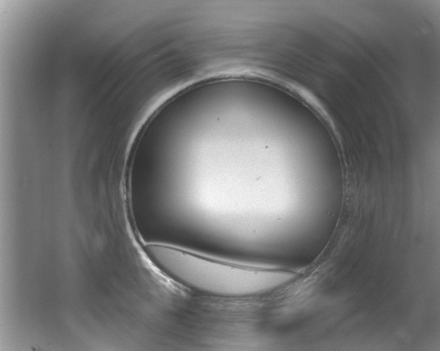 X0000062610951200512210934