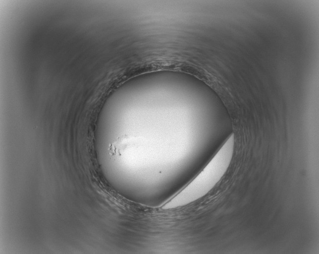 X0000062610961200512210933