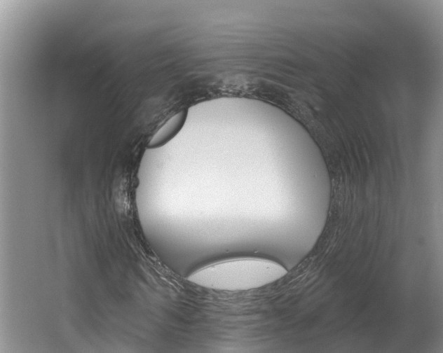 X0000062610962200512210933