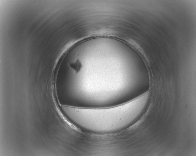 X0000062610989200512210932