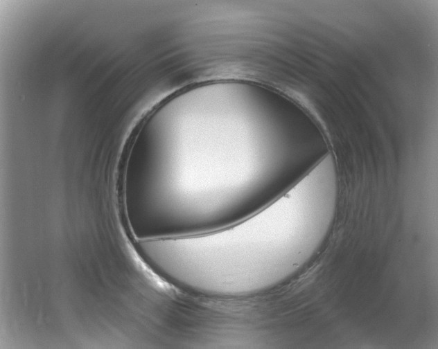 X0000062610995200512210932