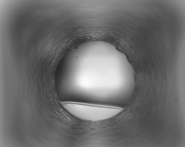 X0000062611009200512210931