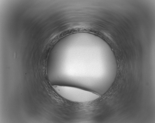 X0000062611015200512210931