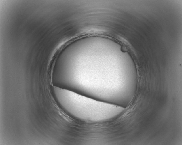 X0000062611027200512210932