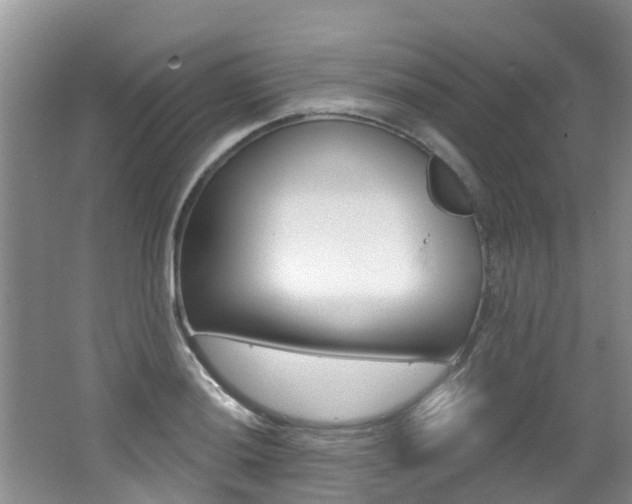 X0000062611036200512210932
