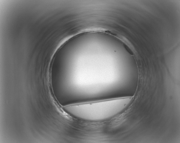 X0000062611044200512210932