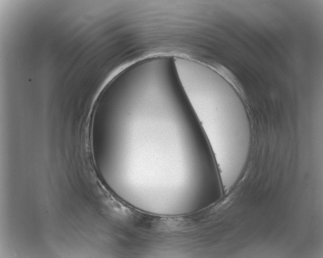 X0000062611052200512210932