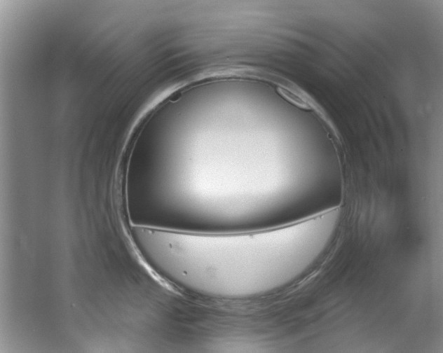 X0000062611053200512210932
